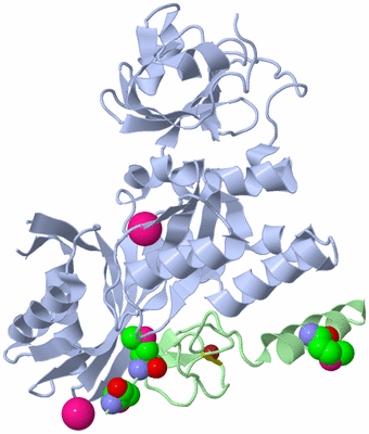 Image Asym./Biol. Unit