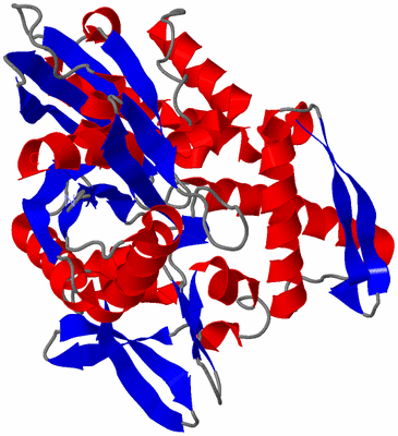Image Theoretical Model