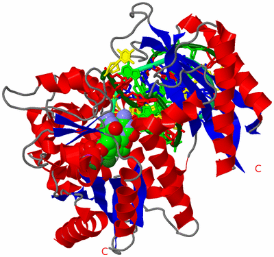 Image Asym./Biol. Unit