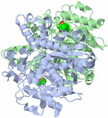 Image Biological Unit 1