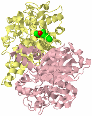 Image Biological Unit 2