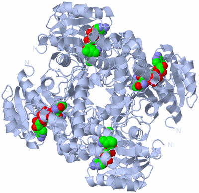 Image Biological Unit 1