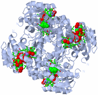 Image Biol. Unit 1 - sites