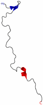 Image NMR Structure - model 1