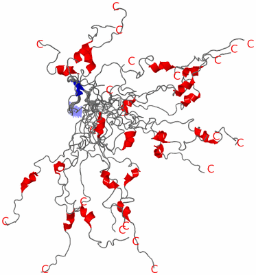 Image NMR Structure - all models