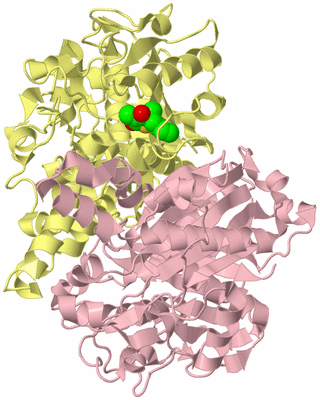 Image Biological Unit 2