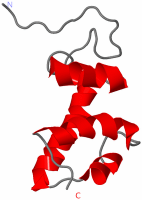 Image NMR Structure - model 1