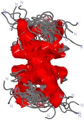 Image NMR Structure - all models