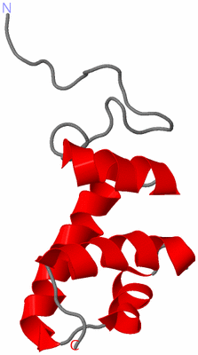 Image NMR Structure - all models