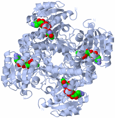 Image Biological Unit 1