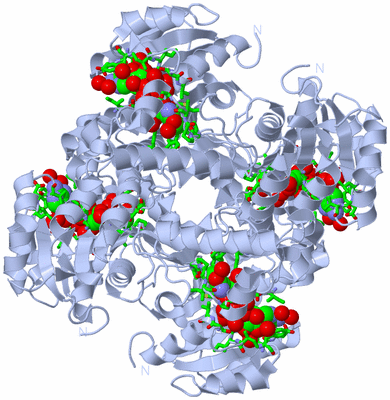 Image Biol. Unit 1 - sites