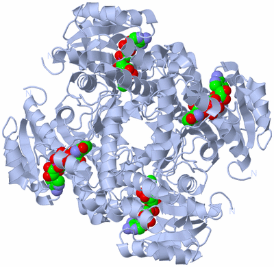 Image Biological Unit 1