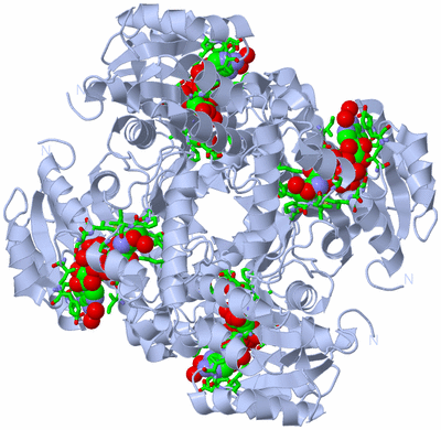 Image Biol. Unit 1 - sites