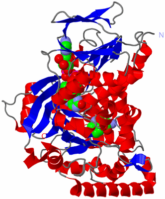 Image Asymmetric Unit