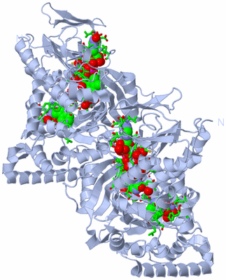 Image Biol. Unit 1 - sites