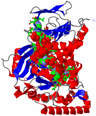 Image Asym. Unit - sites