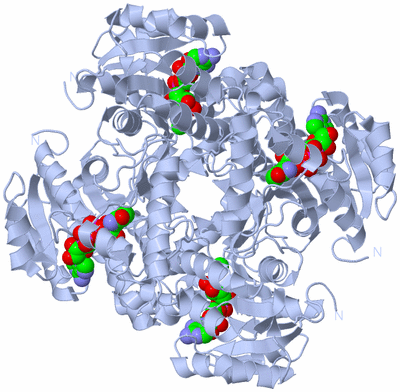 Image Biological Unit 1