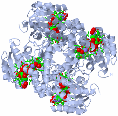 Image Biol. Unit 1 - sites