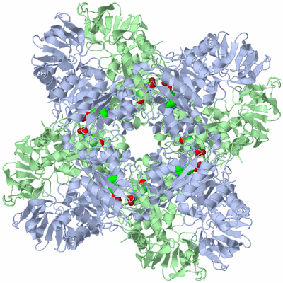 Image Biological Unit 1