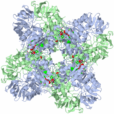 Image Biol. Unit 1 - sites