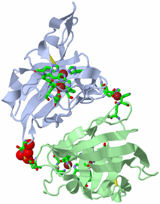 Image Biol. Unit 1 - sites