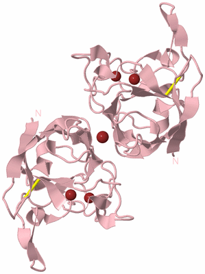 Image Biological Unit 2