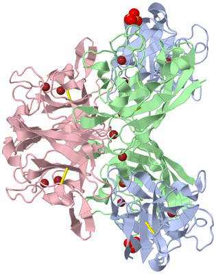 Image Biological Unit 3