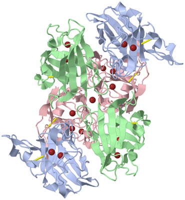 Image Biological Unit 3