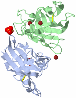 Image Biological Unit 1