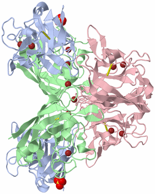 Image Biological Unit 3