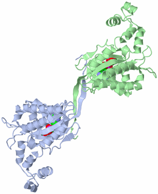 Image Asym./Biol. Unit