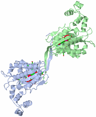 Image Asym./Biol. Unit - sites