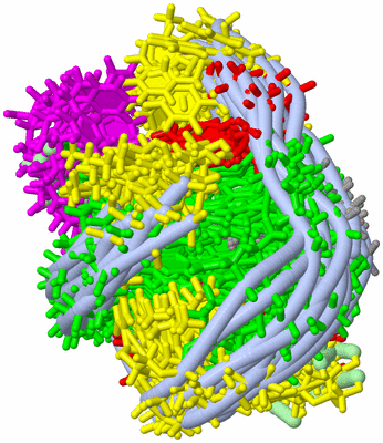 Image NMR Structure - all models