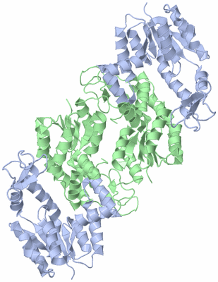 Image Biological Unit 3