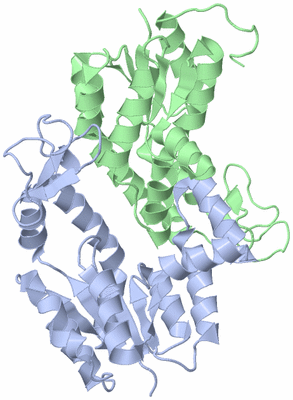 Image Biological Unit 5