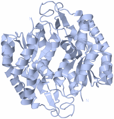 Image Biological Unit 6