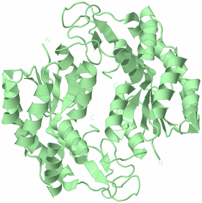 Image Biological Unit 7