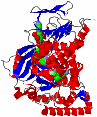 Image Asymmetric Unit