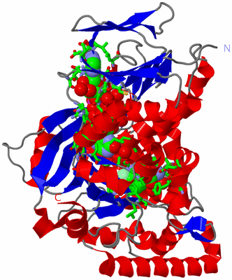 Image Asym. Unit - sites