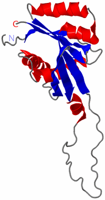 Image NMR Structure - model 1