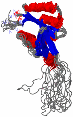 Image NMR Structure - all models