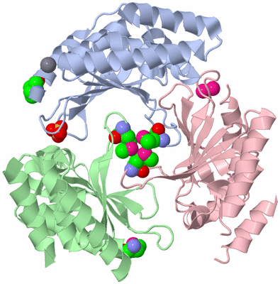 Image Asym./Biol. Unit