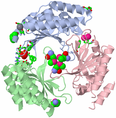 Image Asym./Biol. Unit - sites