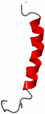 Image NMR Structure - model 1