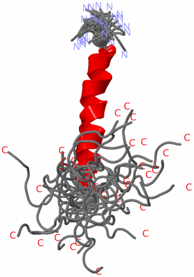 Image NMR Structure - all models
