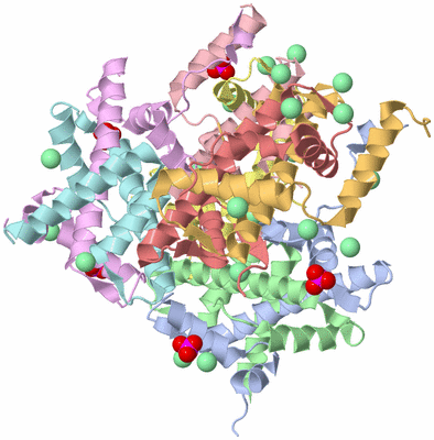 Image Asym./Biol. Unit