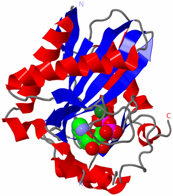 Image Asym./Biol. Unit