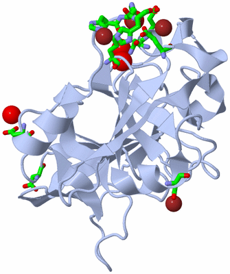 Image Biol. Unit 1 - sites