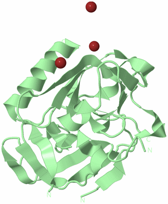 Image Biological Unit 2