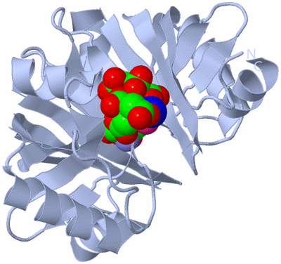 Image Biological Unit 1